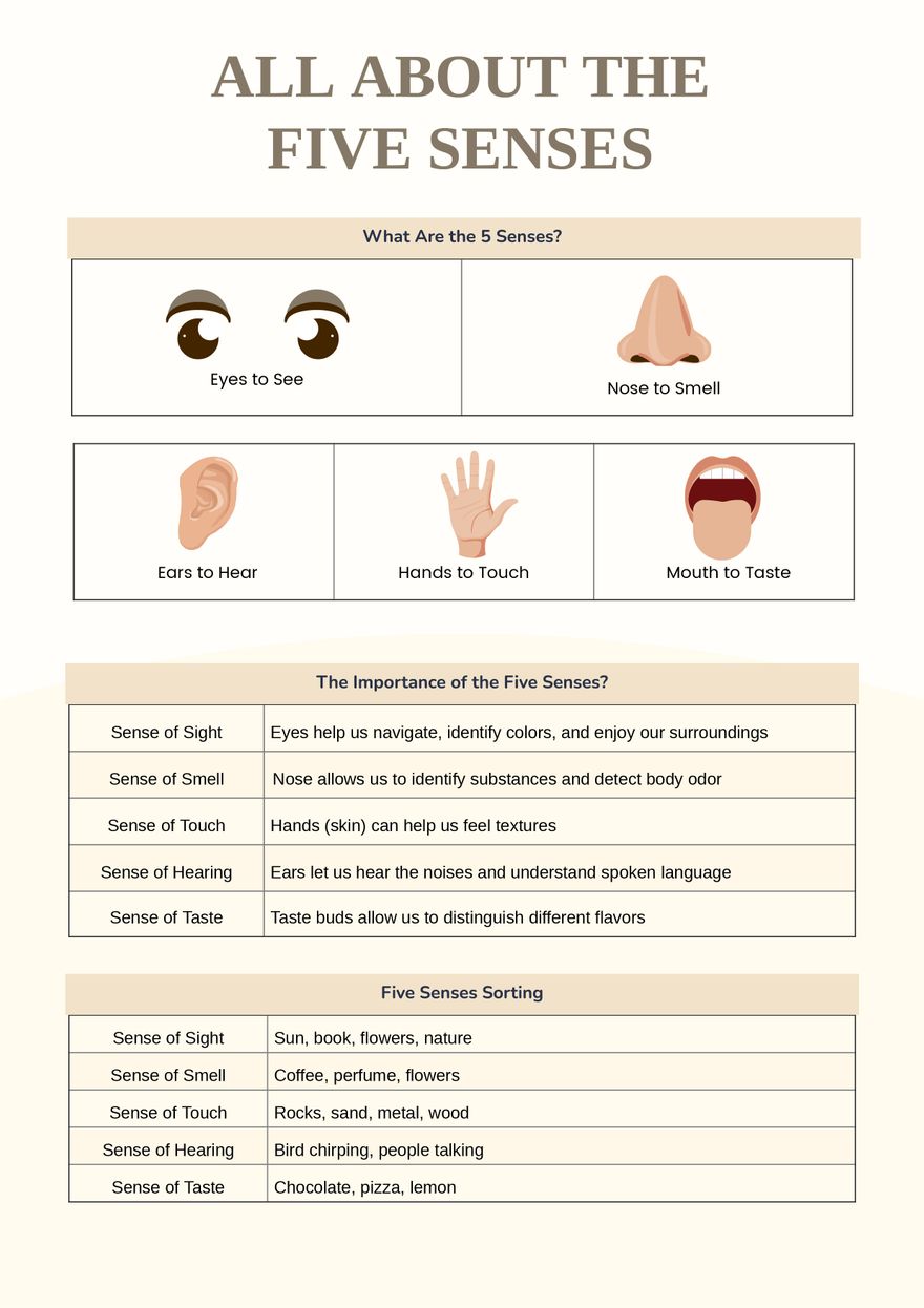Five Senses Anchor Chart