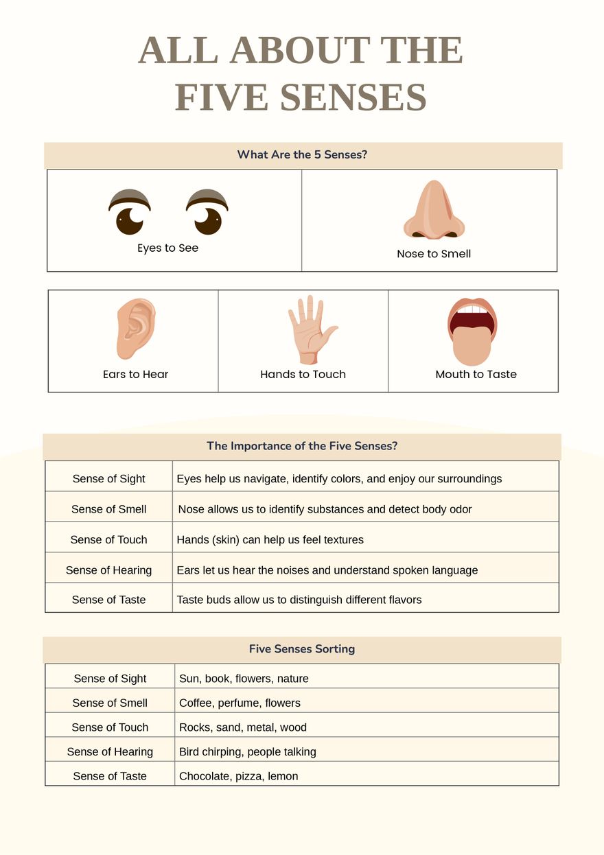 Five Senses Anchor Chart In Illustrator PDF Download Template