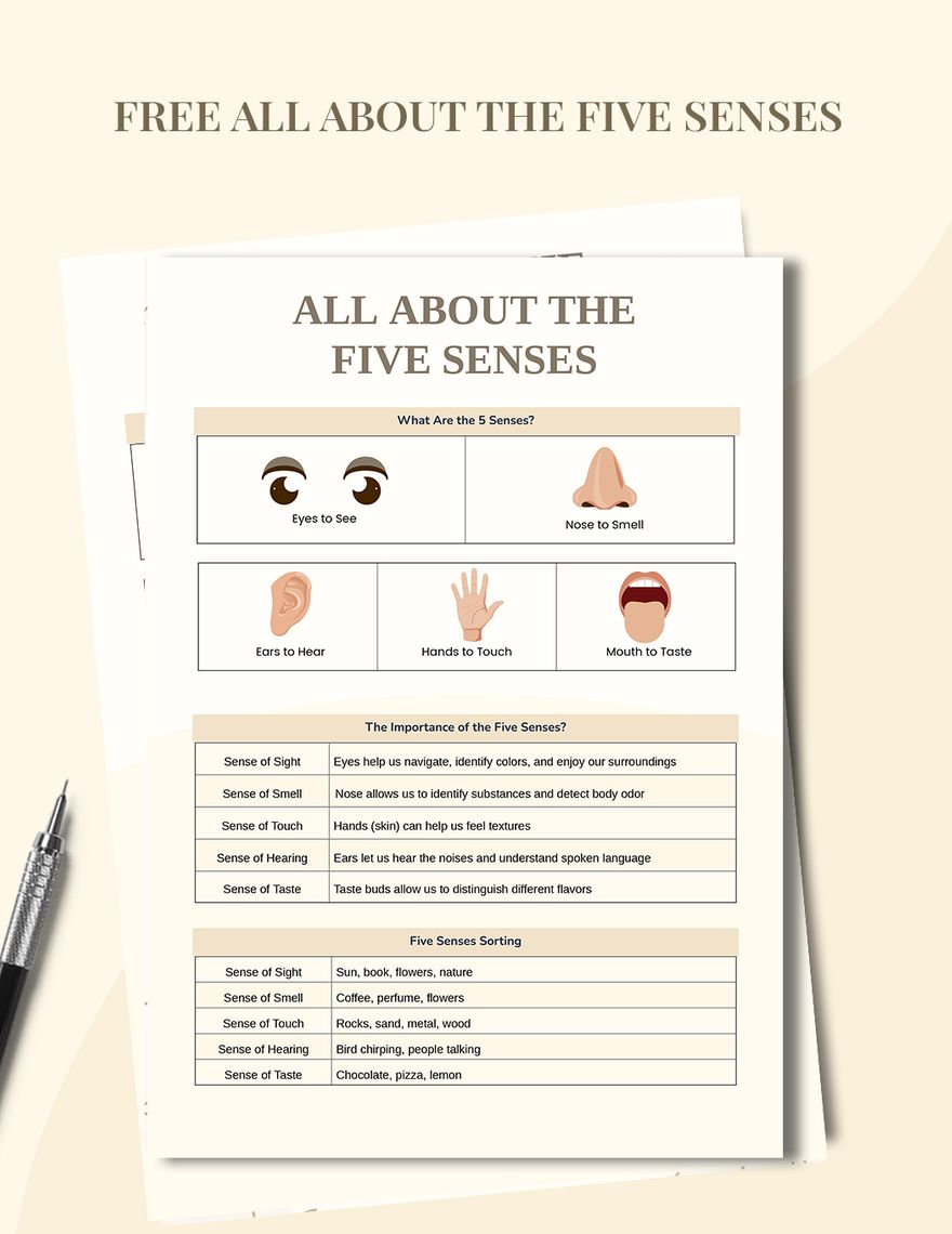 Five Senses Anchor Chart in PDF, Illustrator