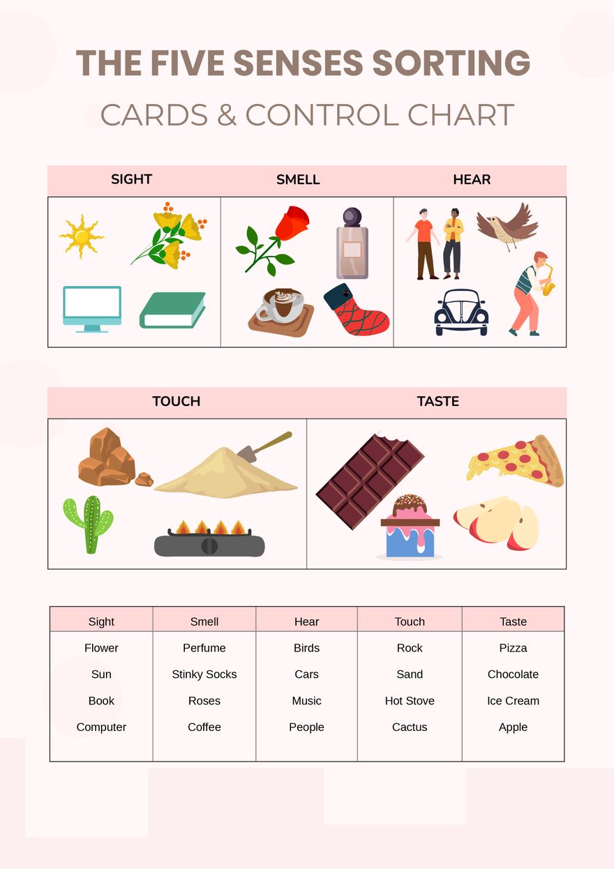 The Five Senses Sorting Cards & Control Chart