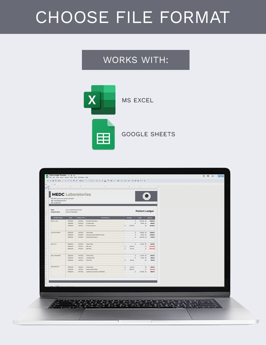 Patient Ledger Template Google Sheets, Excel