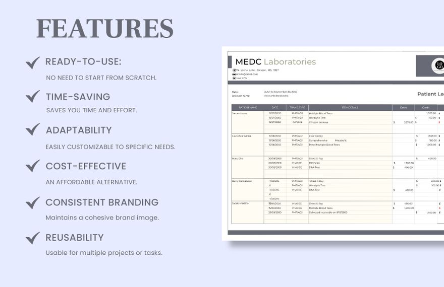 patient-ledger-template-download-in-excel-google-sheets-template