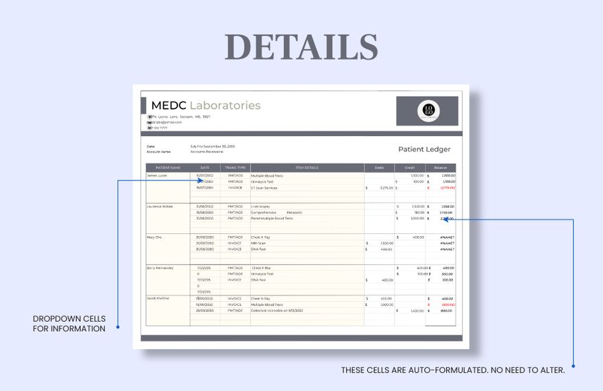 Patient Ledger Template Download in Excel, Google Sheets