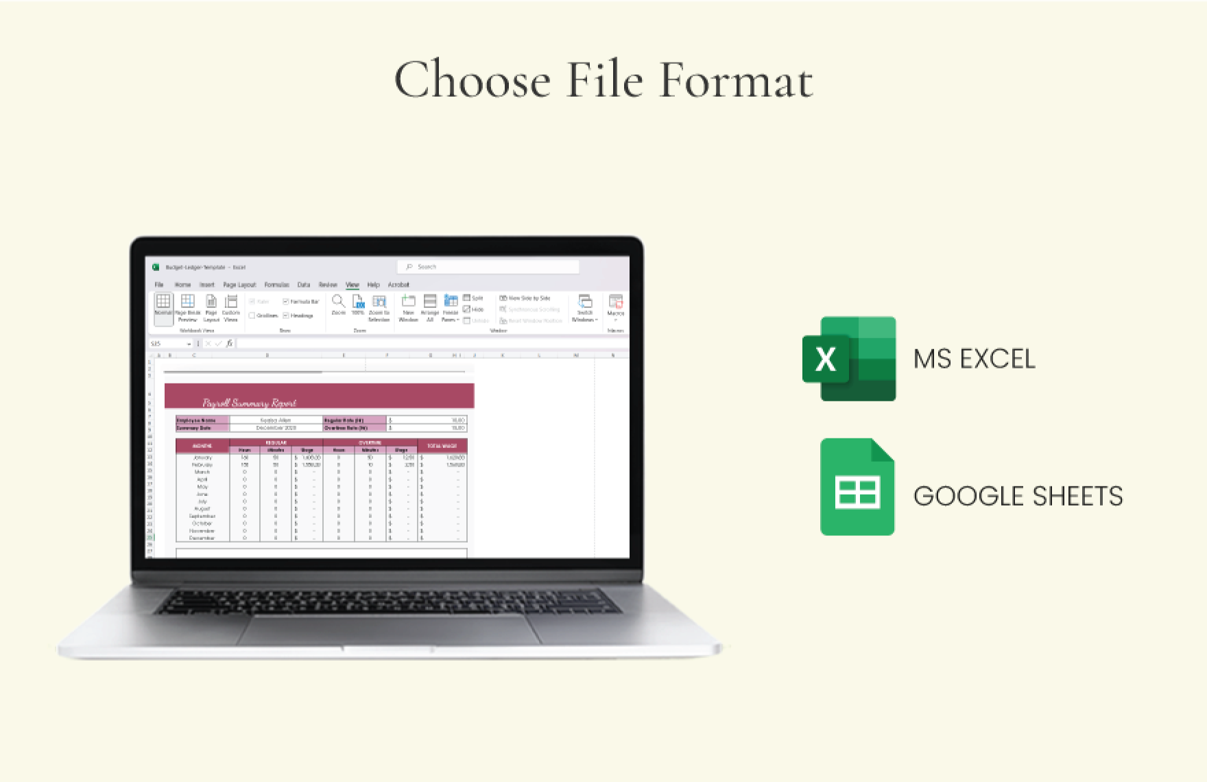 Payroll Summary Report Template Excel Google Sheets Template net Payroll Summary Report Template Excel Google Sheets Template net