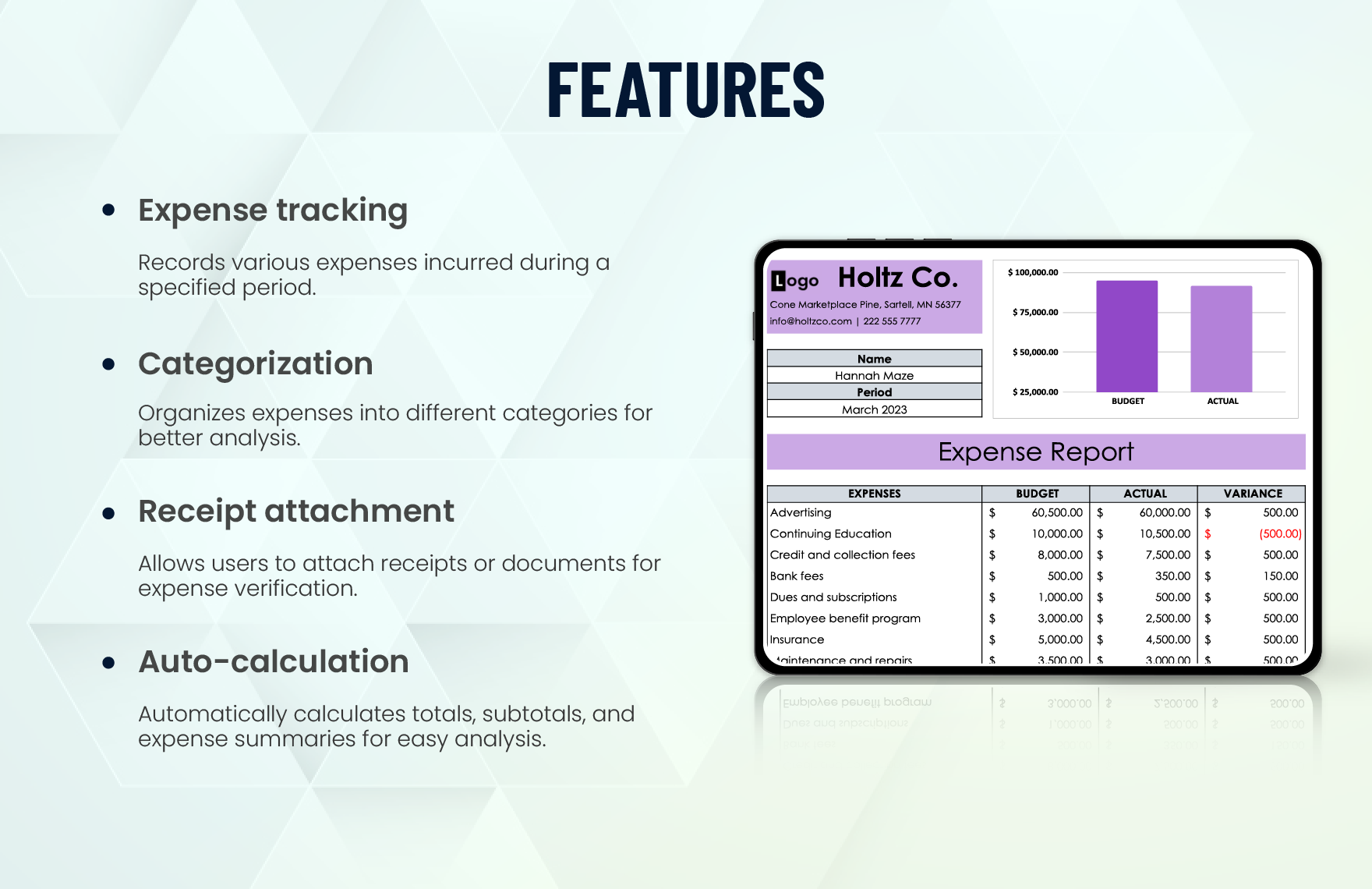 Expense Report Excel Template
