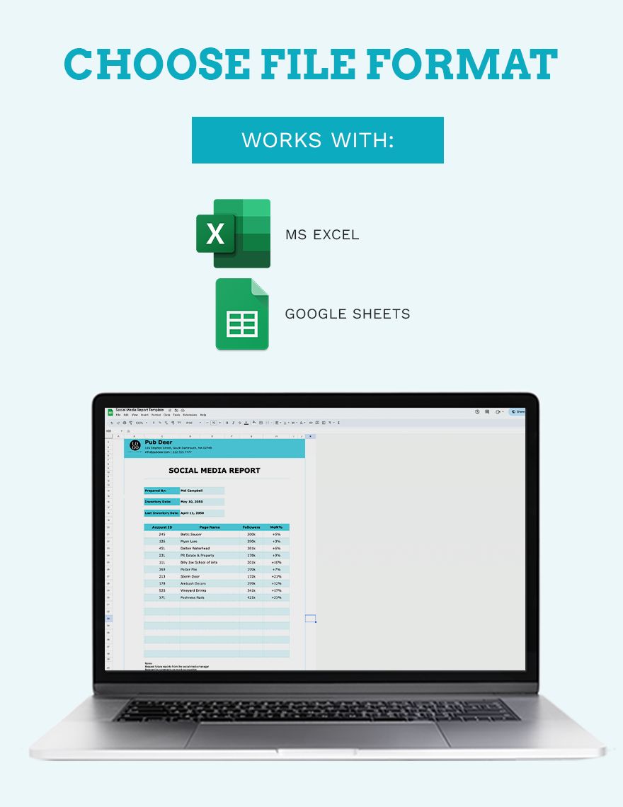 Social Media Report Google Sheets, Excel