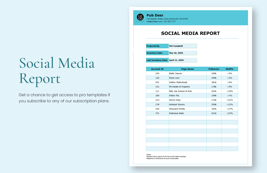 Social Media Report  in Excel, Google Sheets