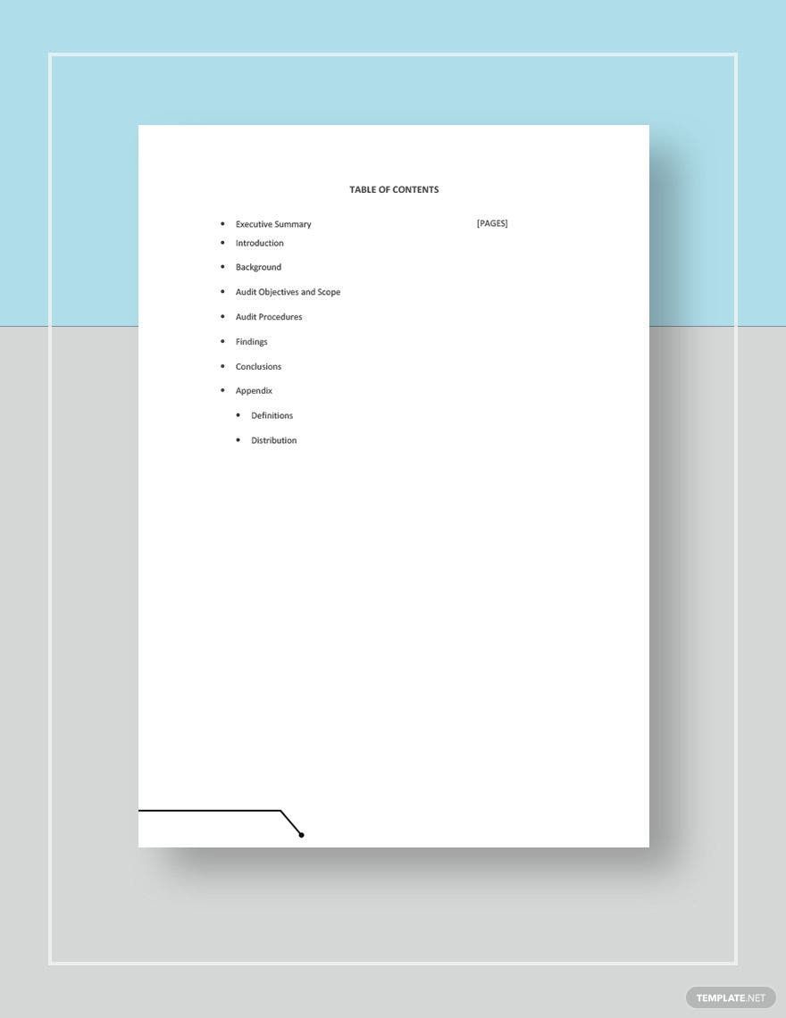 Forensic Audit Report Template