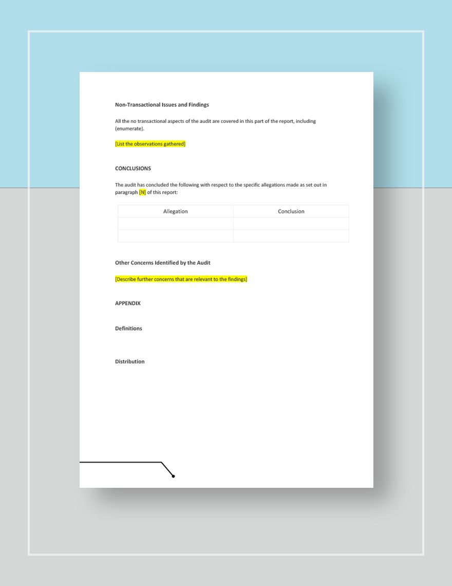 Forensic Audit Report Template