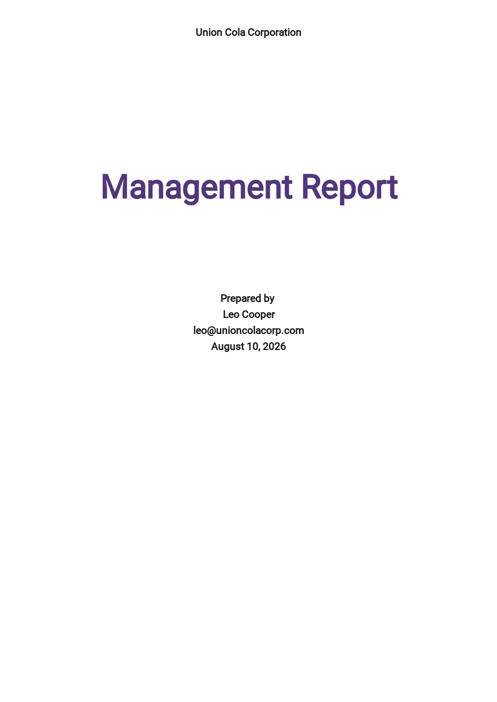 Free Management Report Templates 43  Download Word Excel Pages