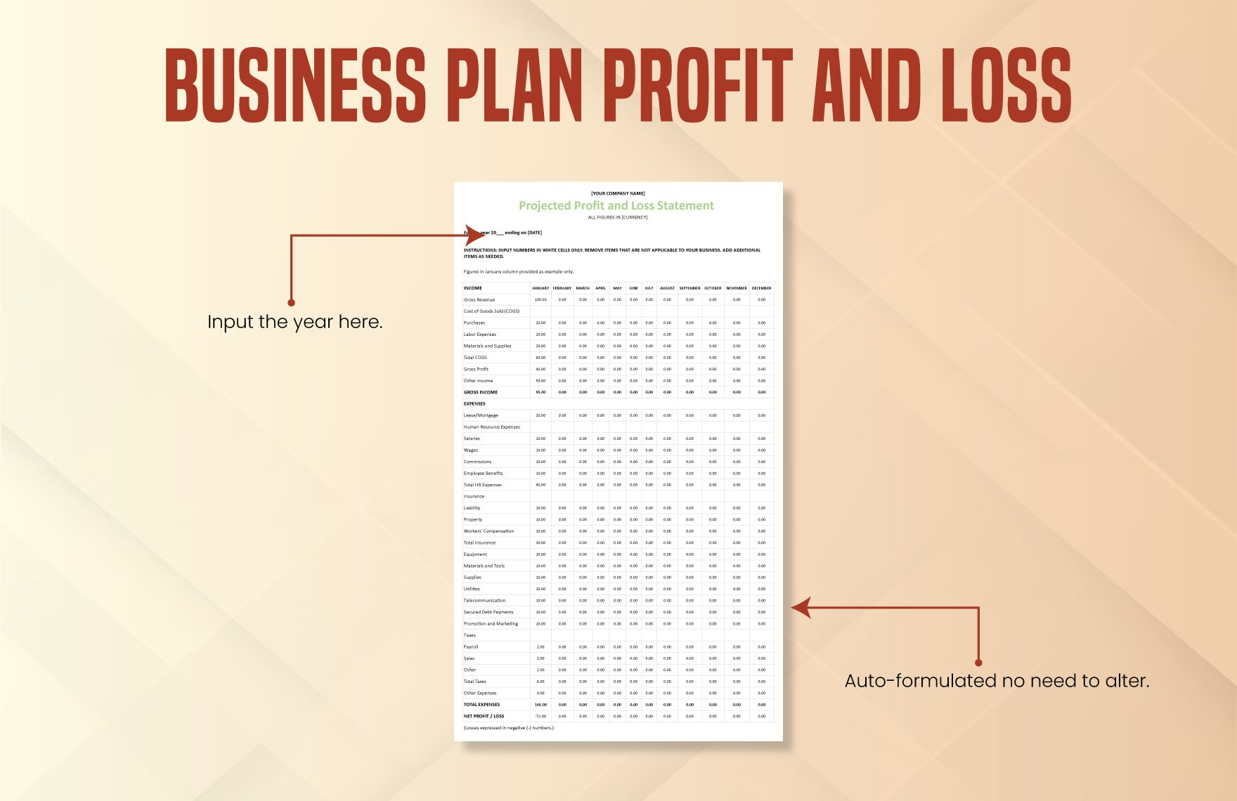 Business Plan Profit And Loss Template