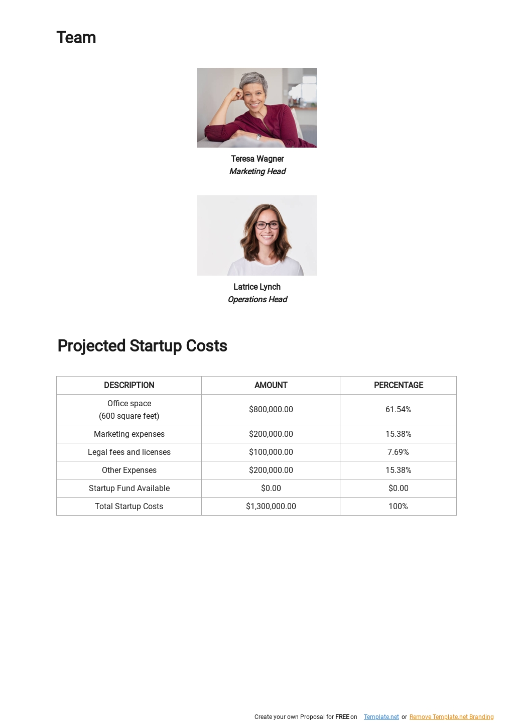 Product Business Plan Template In Google Docs Word Apple Pages