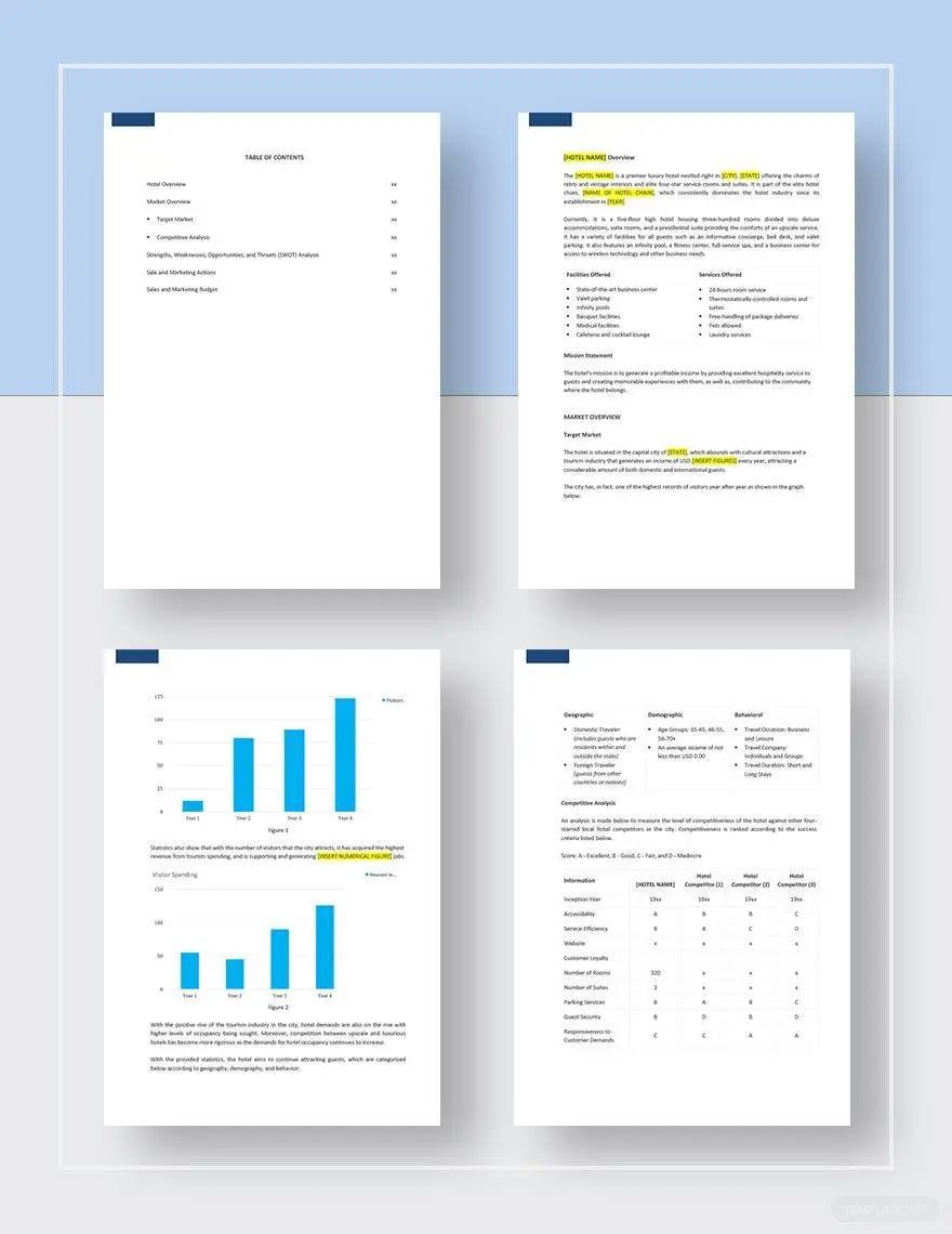  Sales and Marketing Plan Template