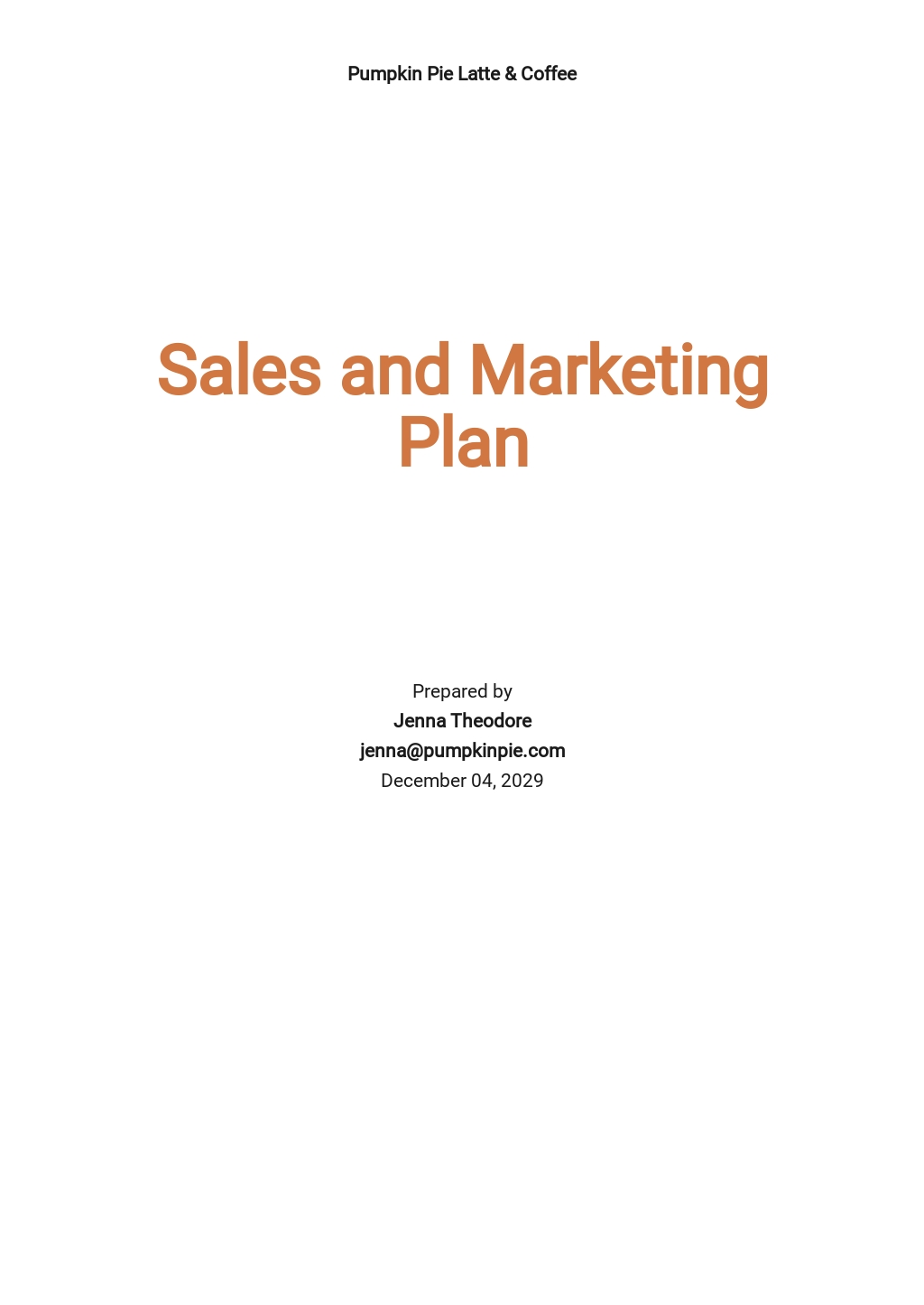 sales-and-marketing-business-plan-template-free-pdf-google-docs