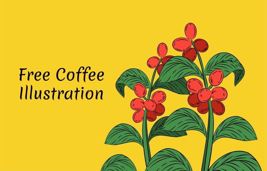Coffee Illustration