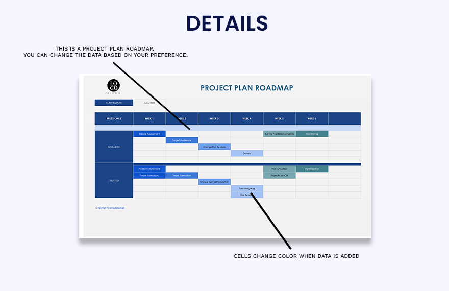 Project Plan Roadmap 