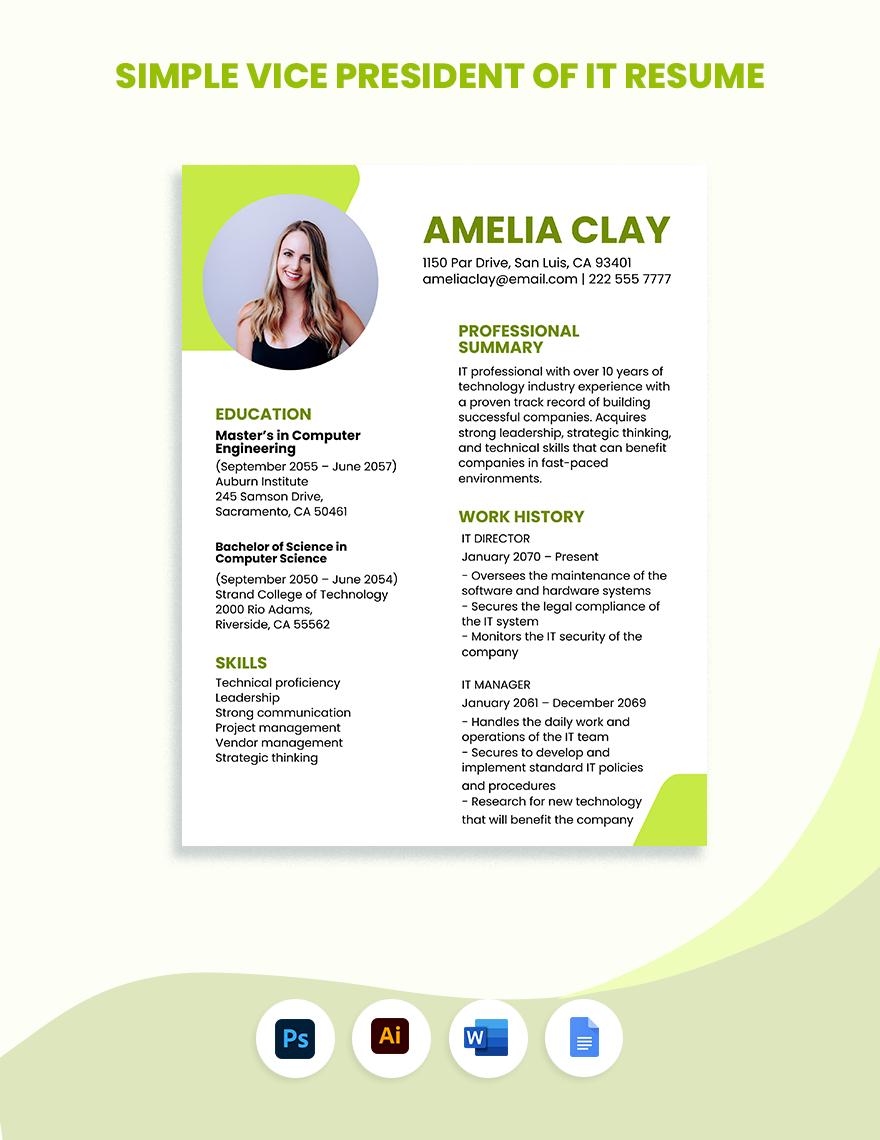 Simple Vice President of IT Resume