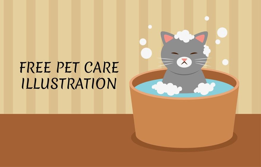 Pet Care Illustration