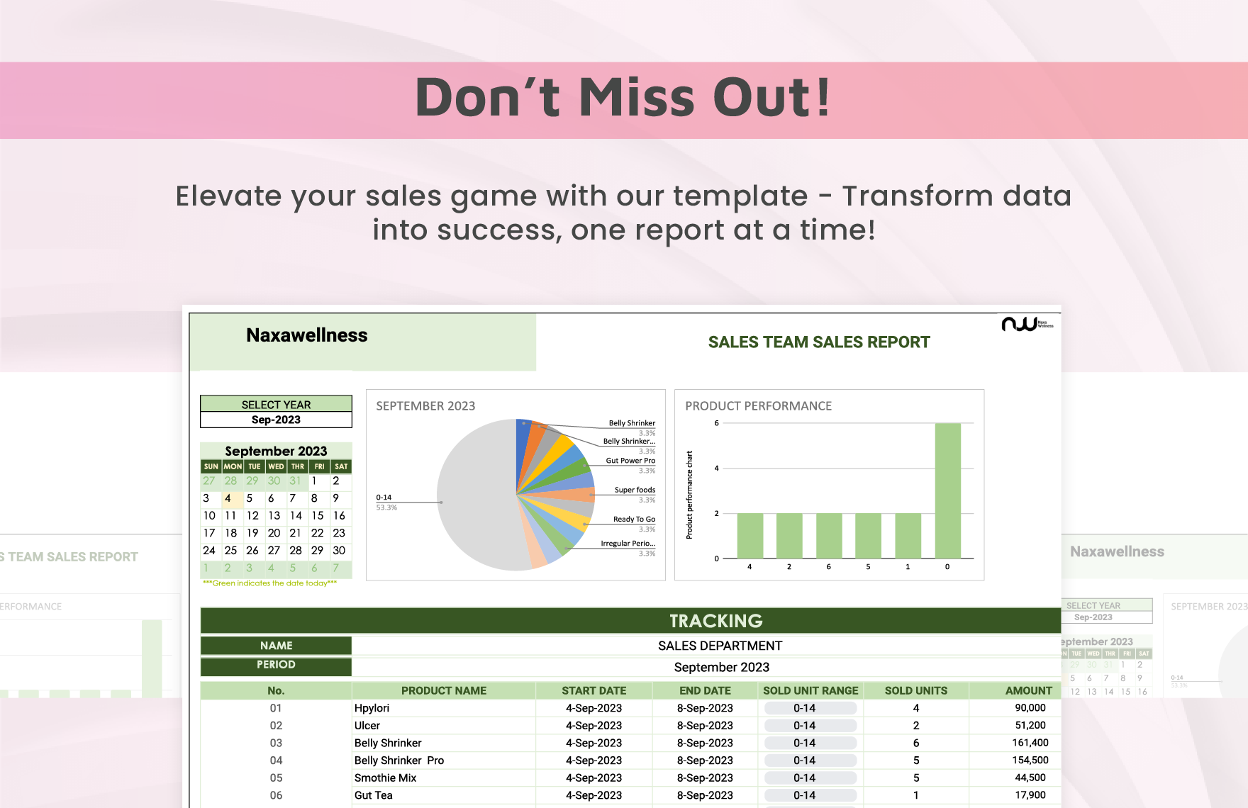 Sales Report  Template