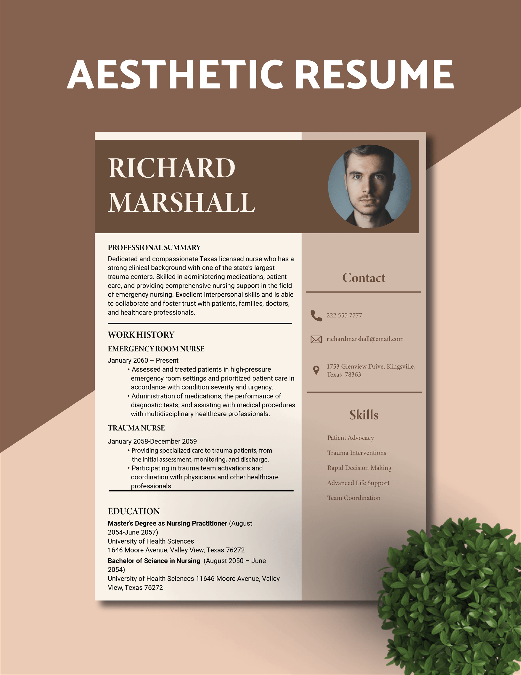 Aesthetic Resume Template
