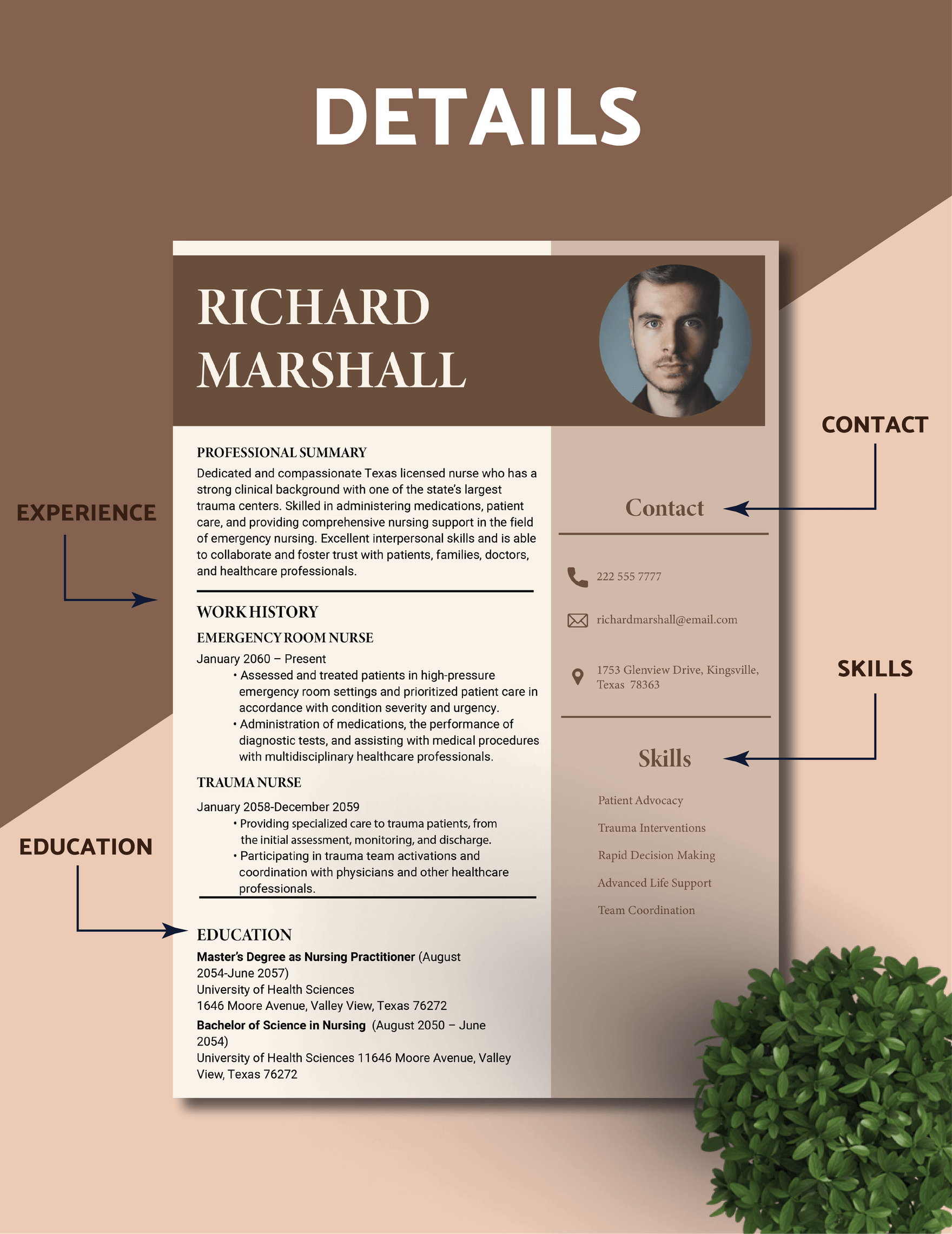 Aesthetic Resume Template