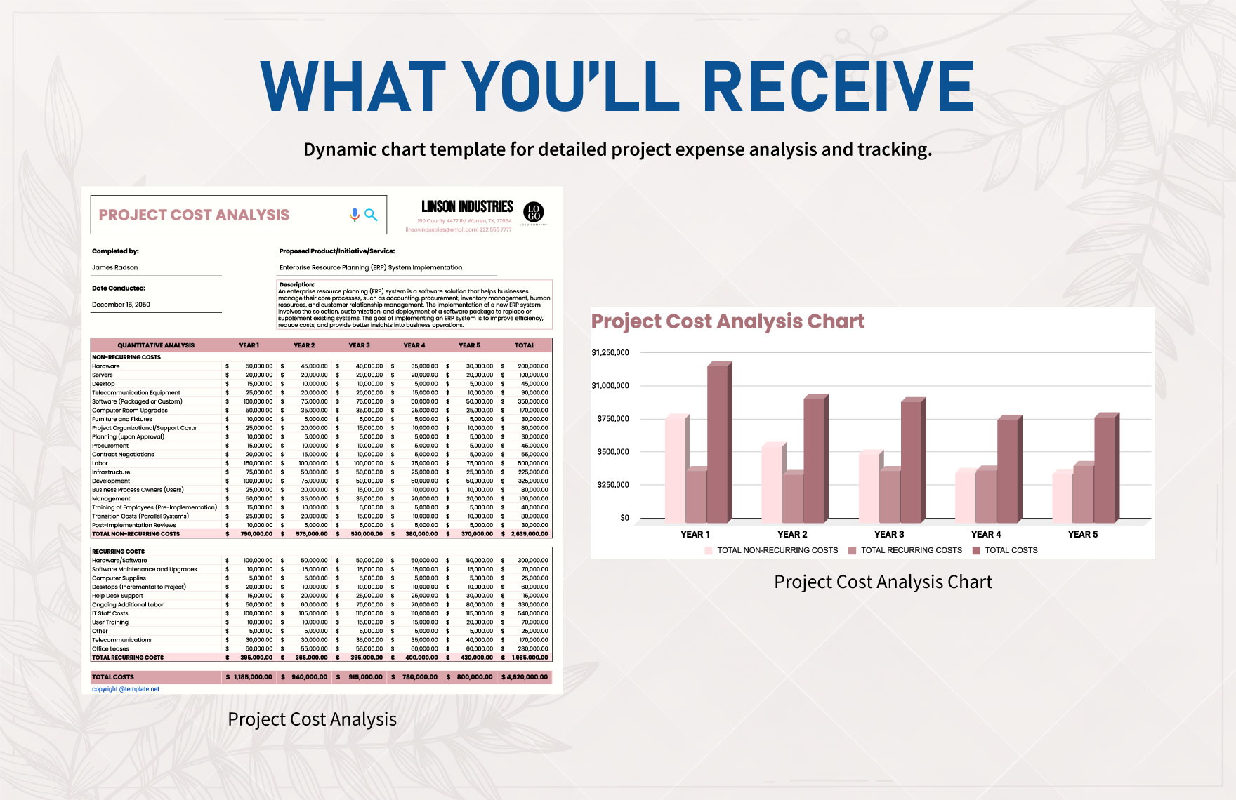 Project Cost Analysis Chart Template