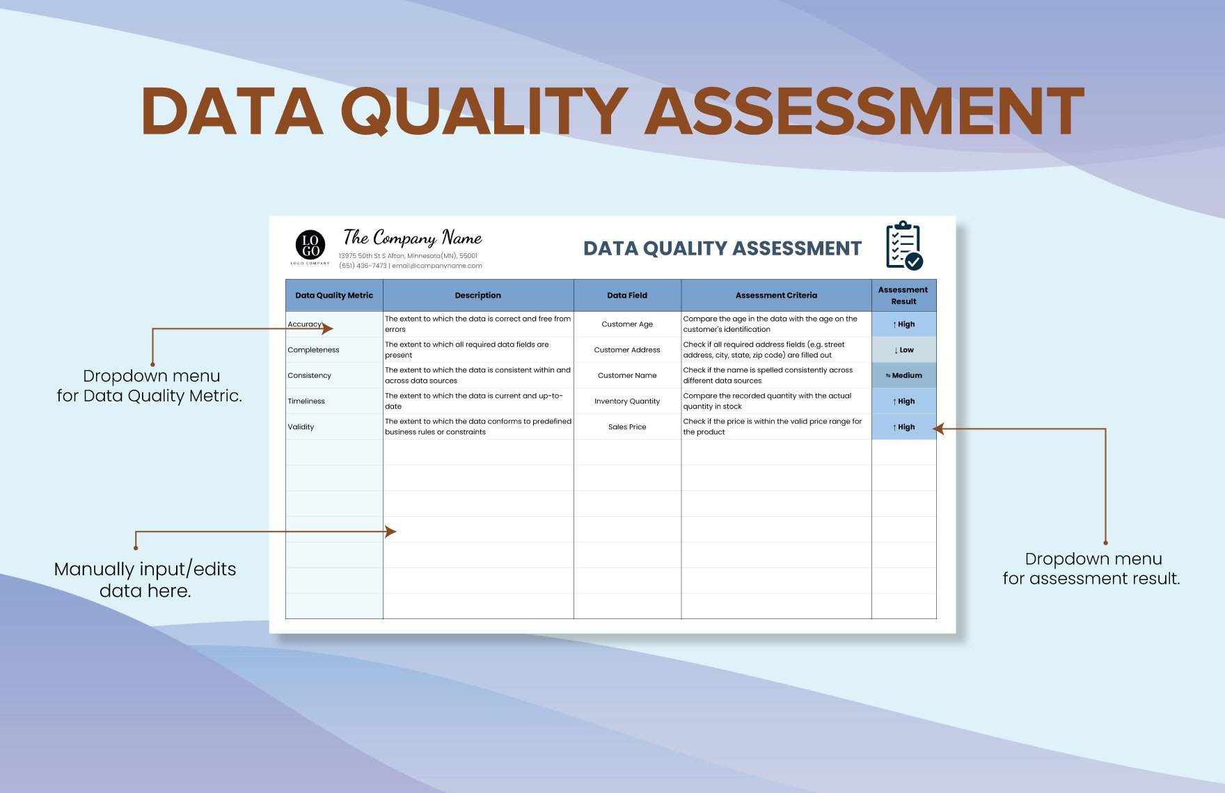 Data Quality Assessment Template