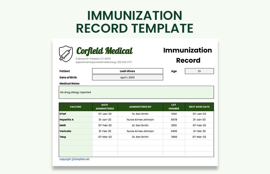 Immunization Record Template - Download In Excel, Google Sheets ...