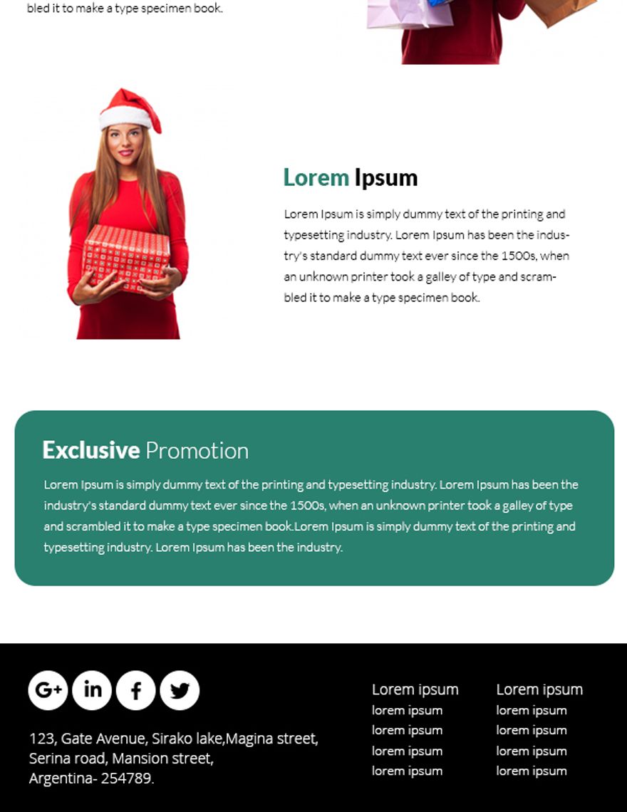 Christmas Promotion Newsletter Template