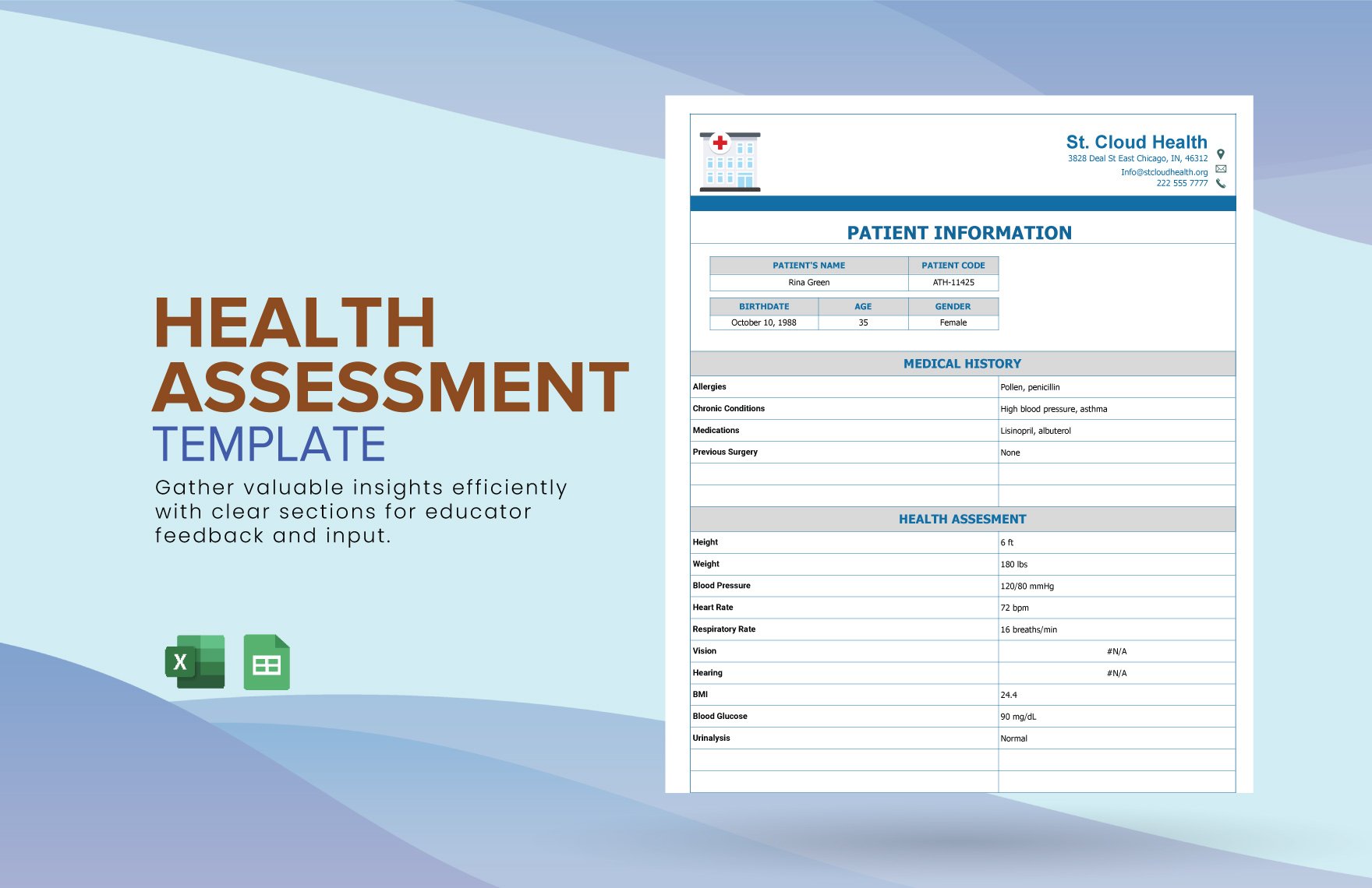Health Assessment Template in Excel, Google Sheets