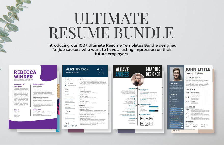 Ultimate Resume Bundle in Word