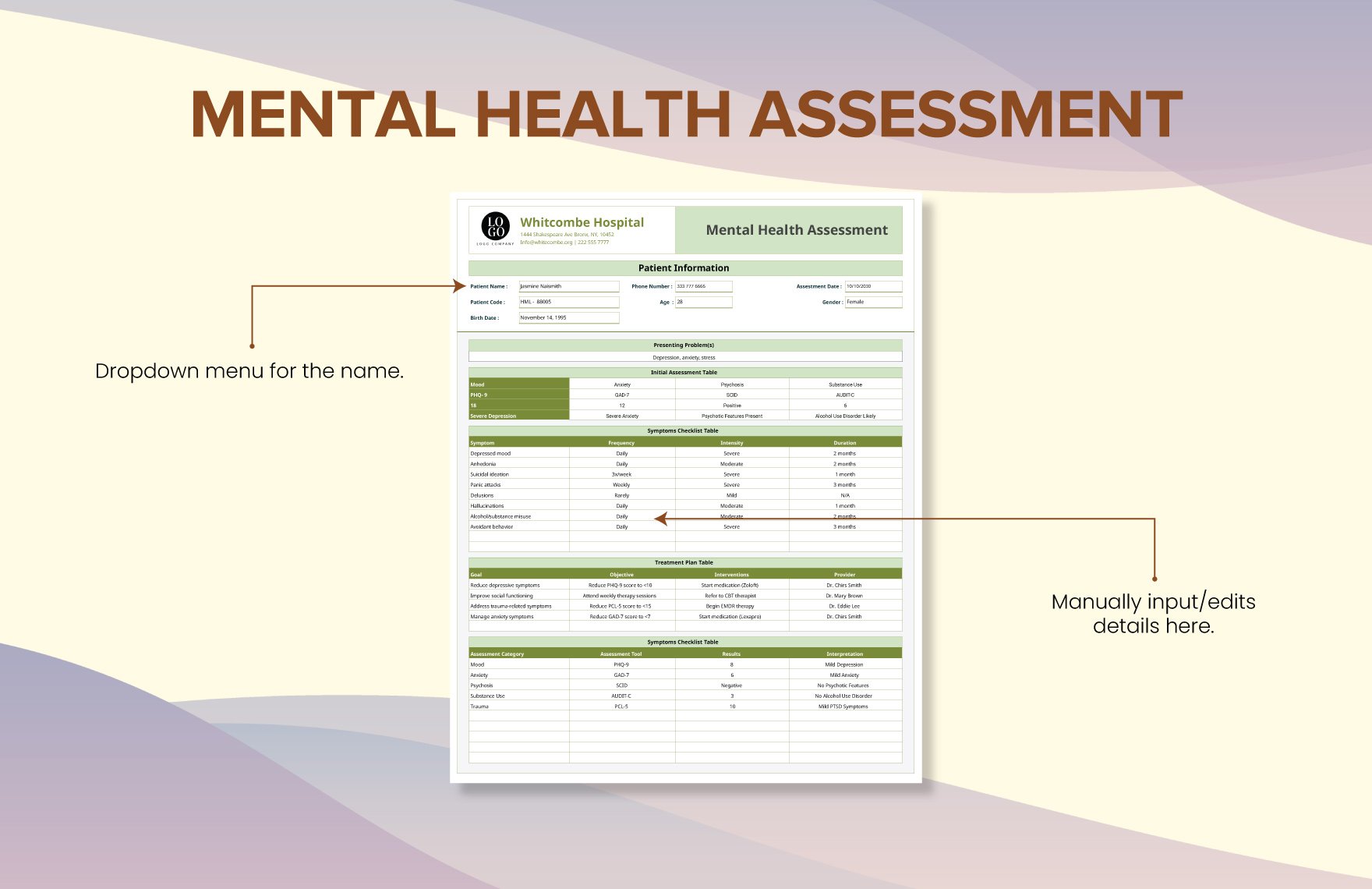Mental Health Assessment Template