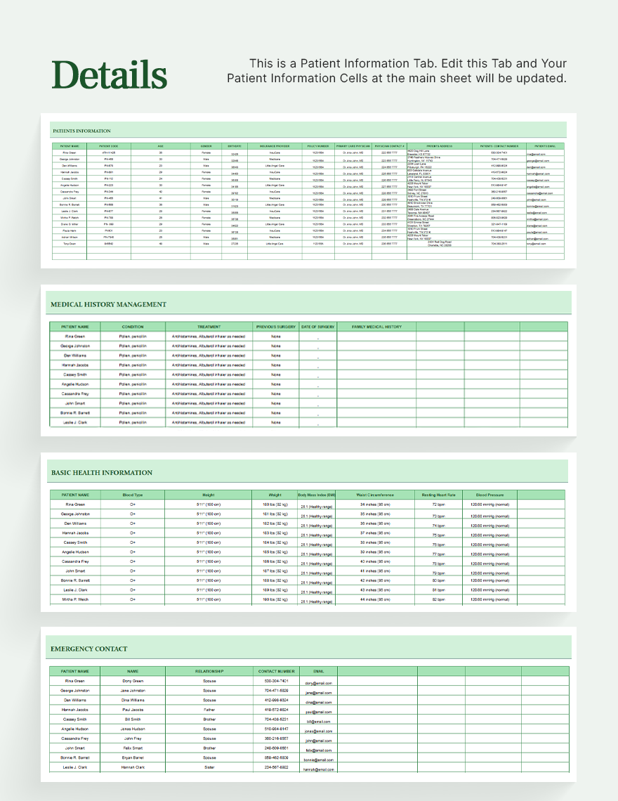 Patient Information Template - Google Sheets, Excel | Template.net