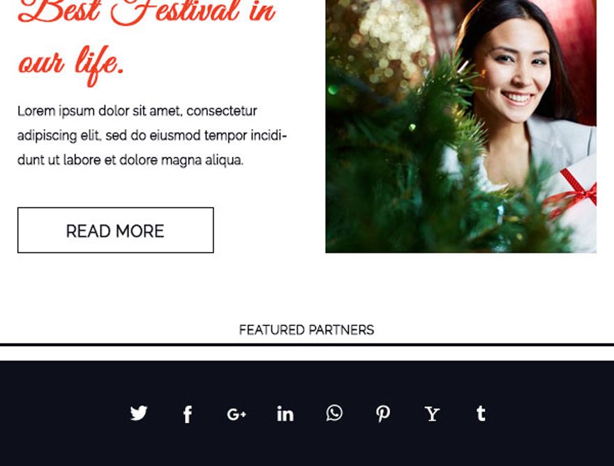 Christmas Family Email Newsletter Template