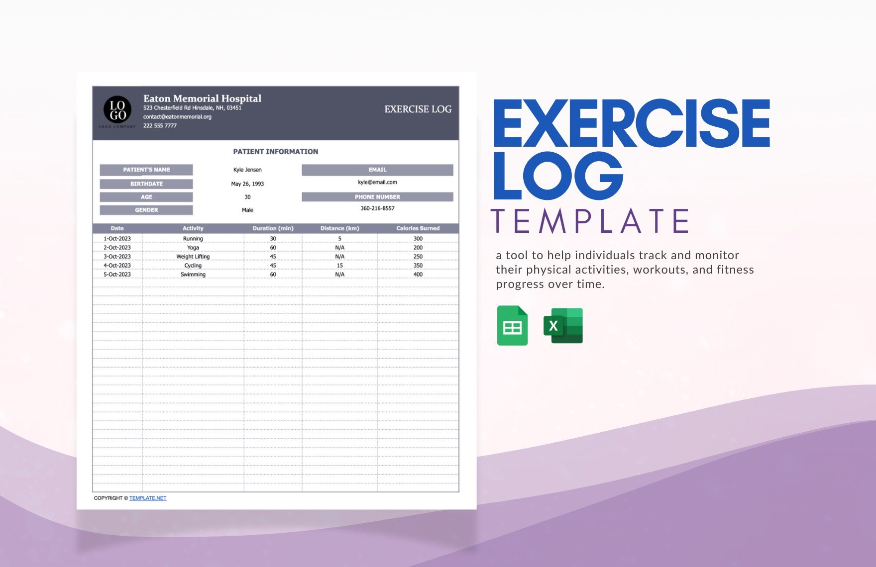 Exercise Log Template in Excel, Google Sheets - Download | Template.net