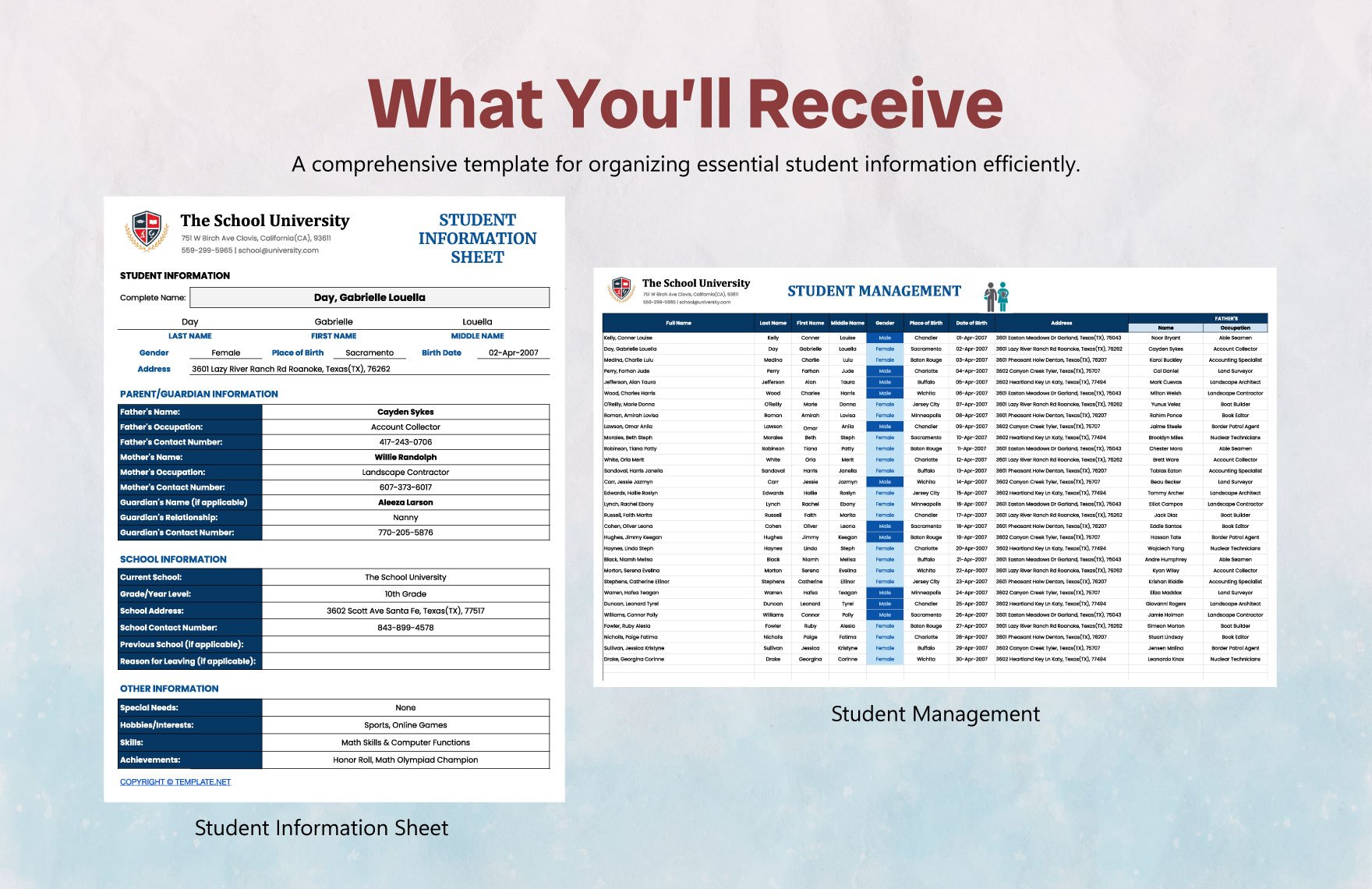 Student Information Sheet Template