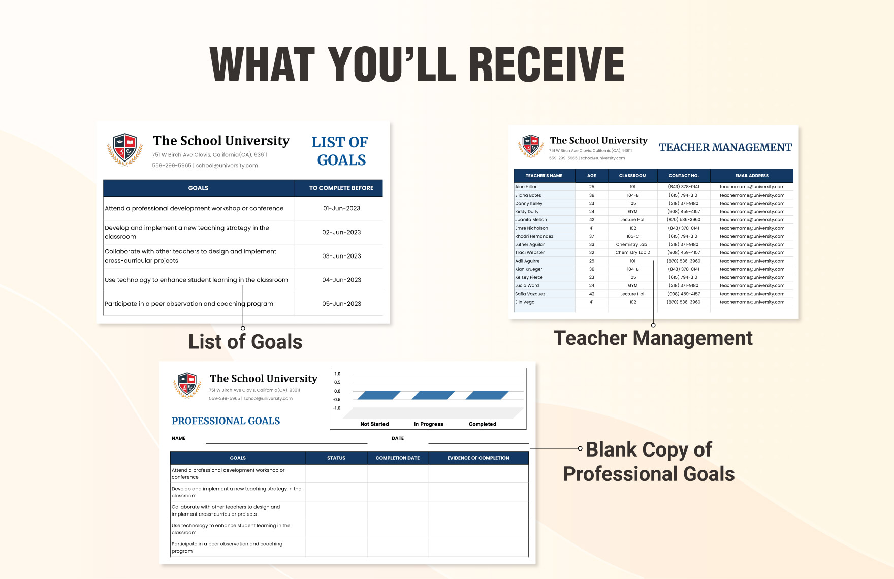 Professional Goals Sheet Template