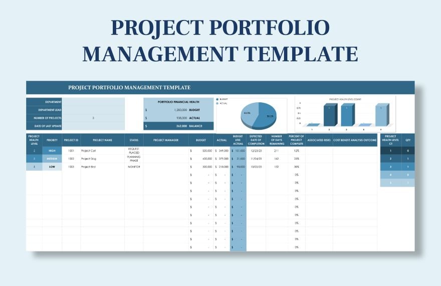 Project Portfolio Management Template