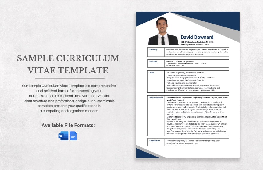 Sample Curriculum Vitae Template in Word, Google Docs
