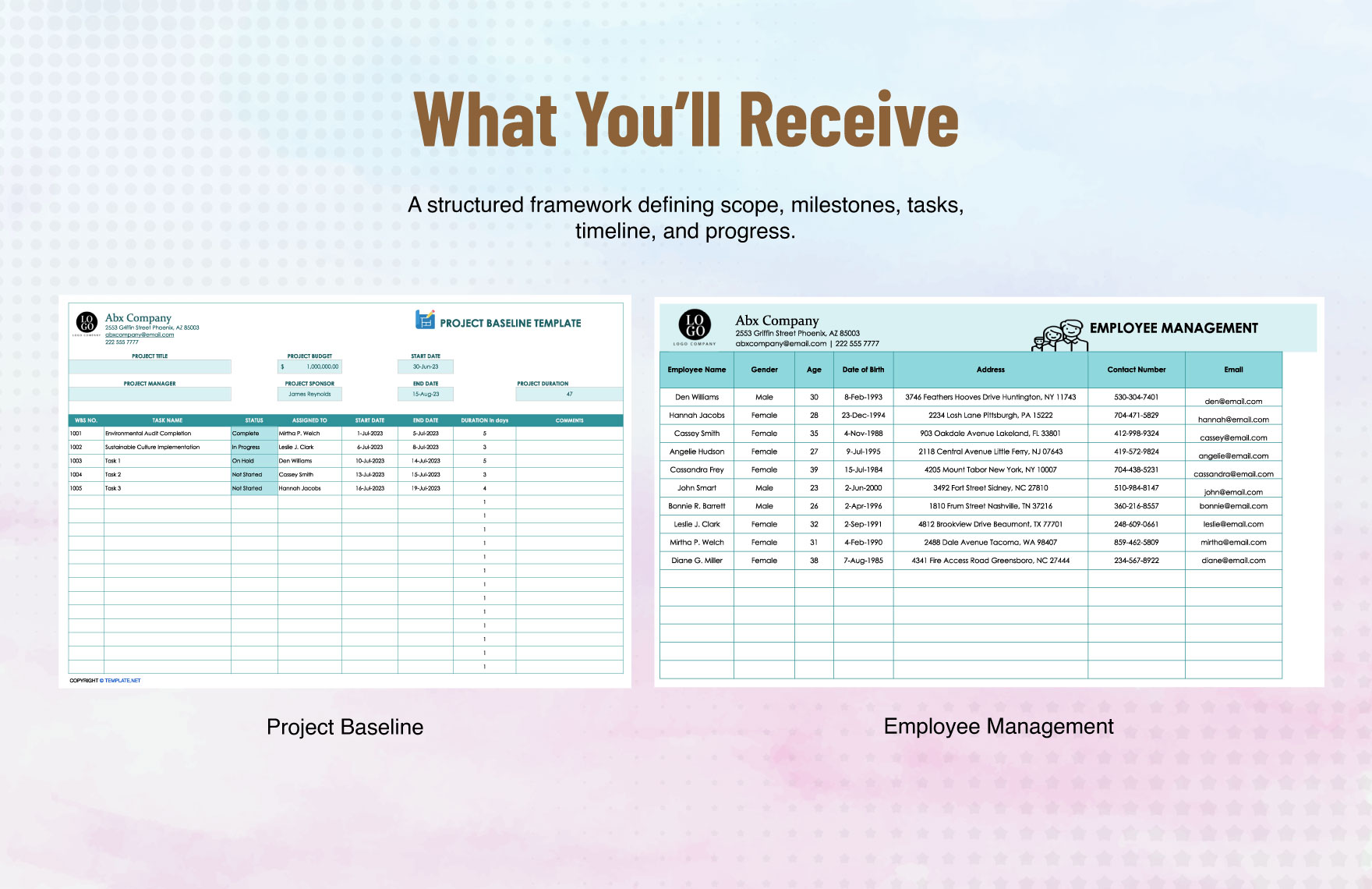 Project Baseline Template