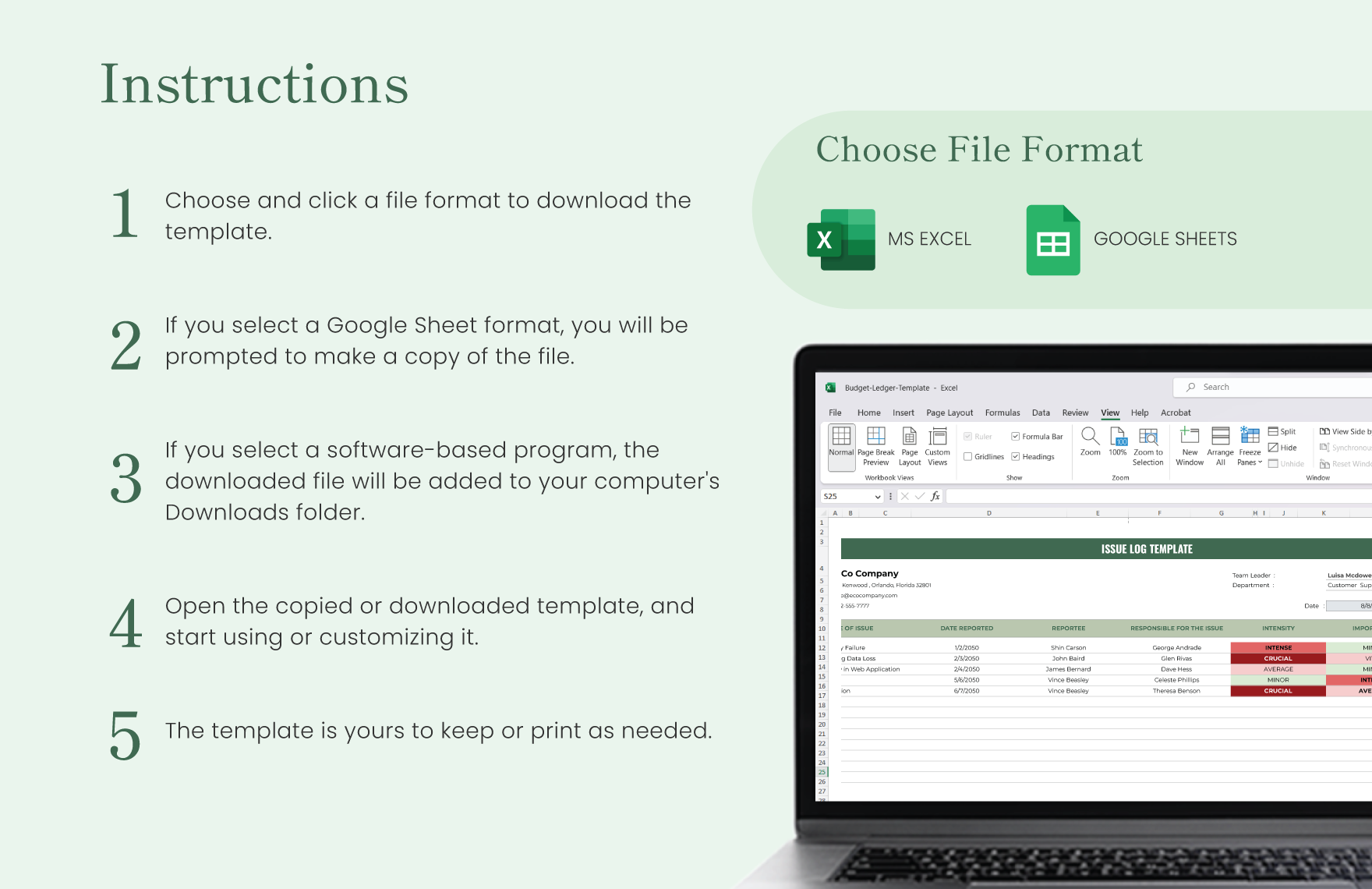 Project Management Issue Log Template