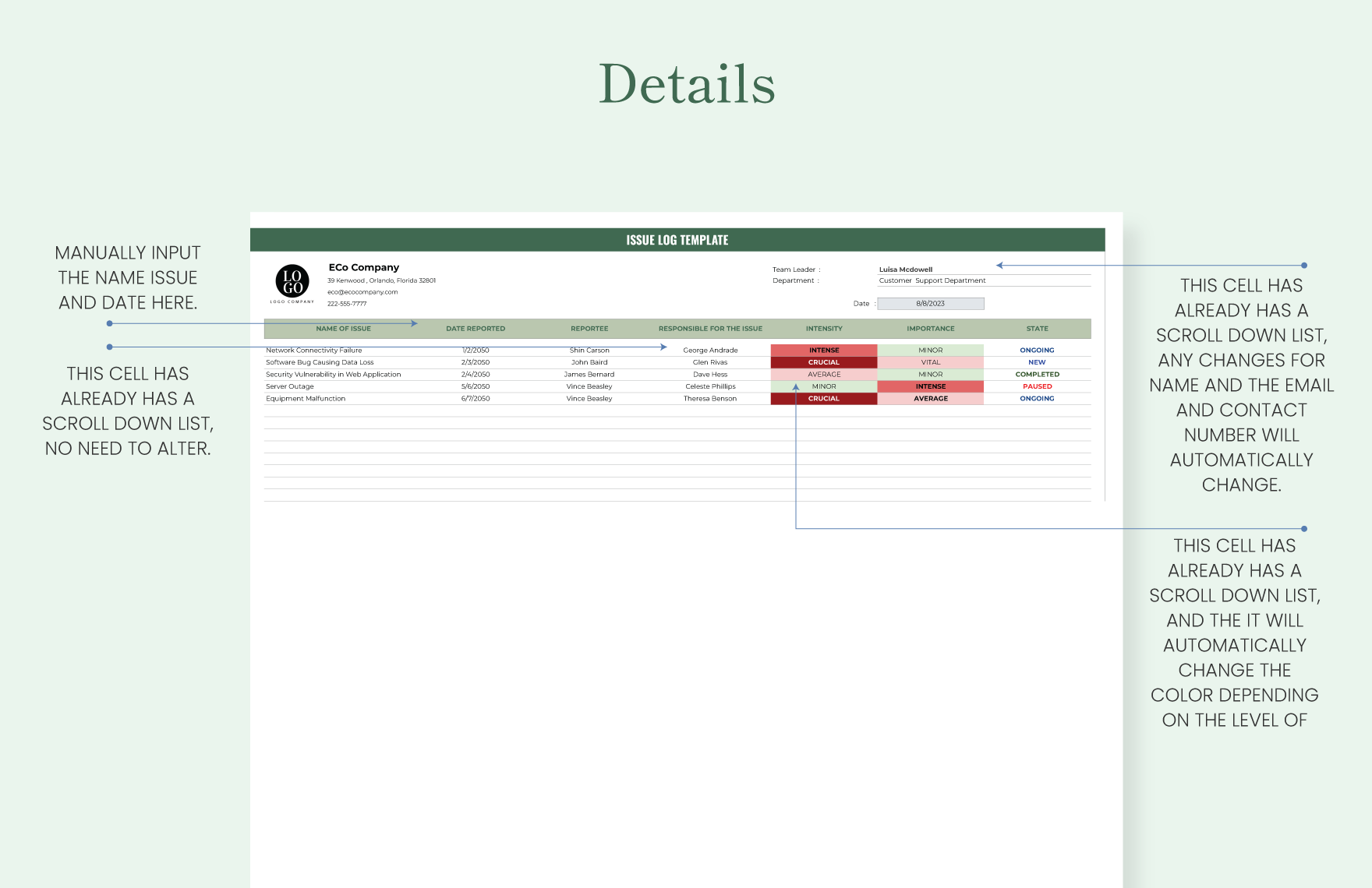 Project Management Issue Log Template