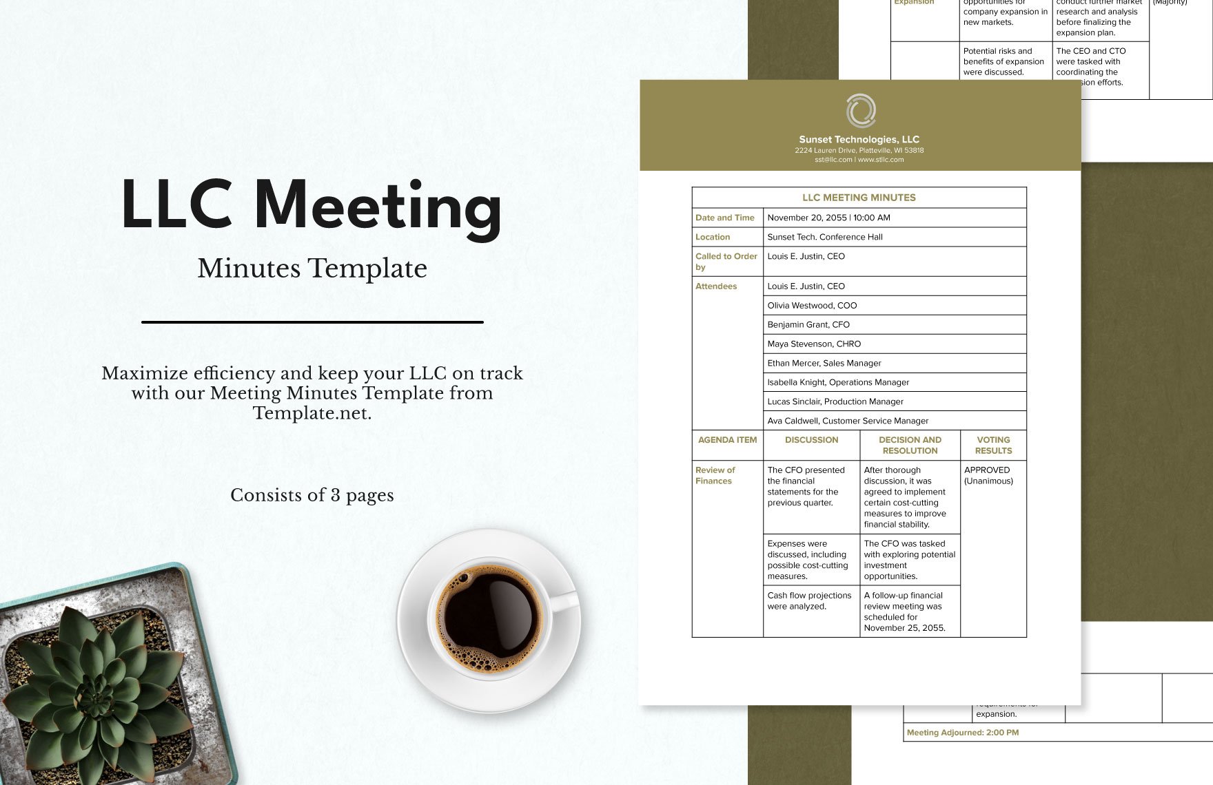 LLC Meeting Minutes Template 