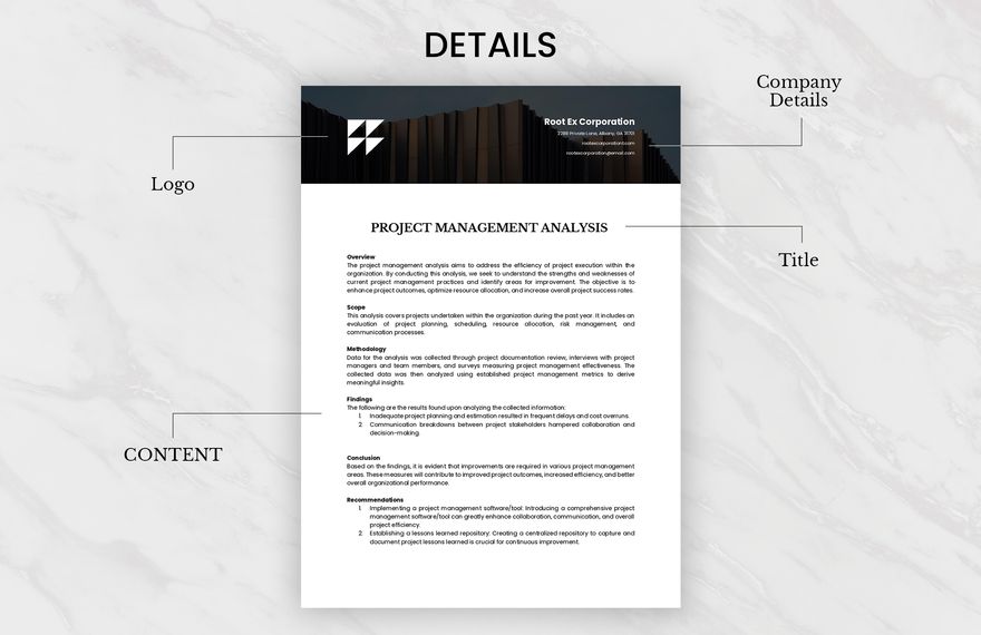 Project Management Analysis Template