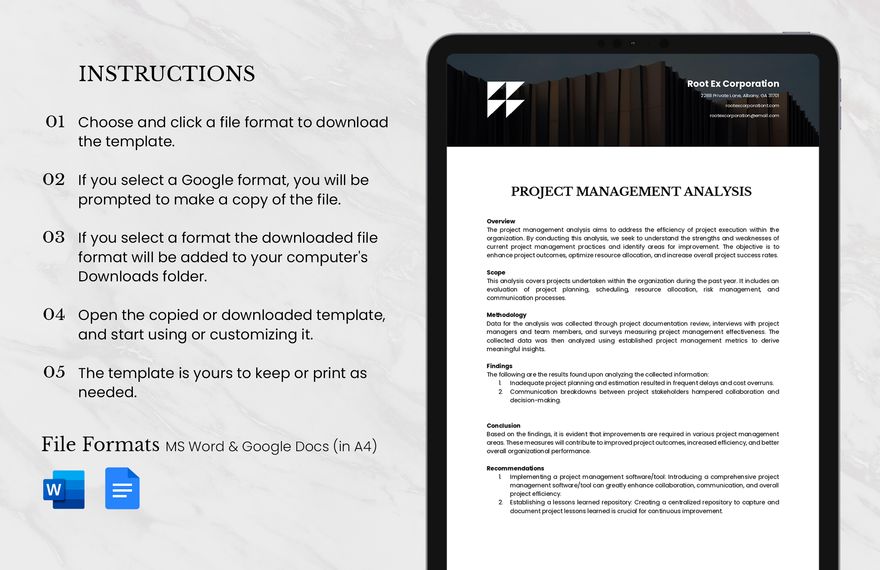 Project Management Analysis Template