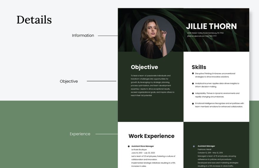 Manager CV Template