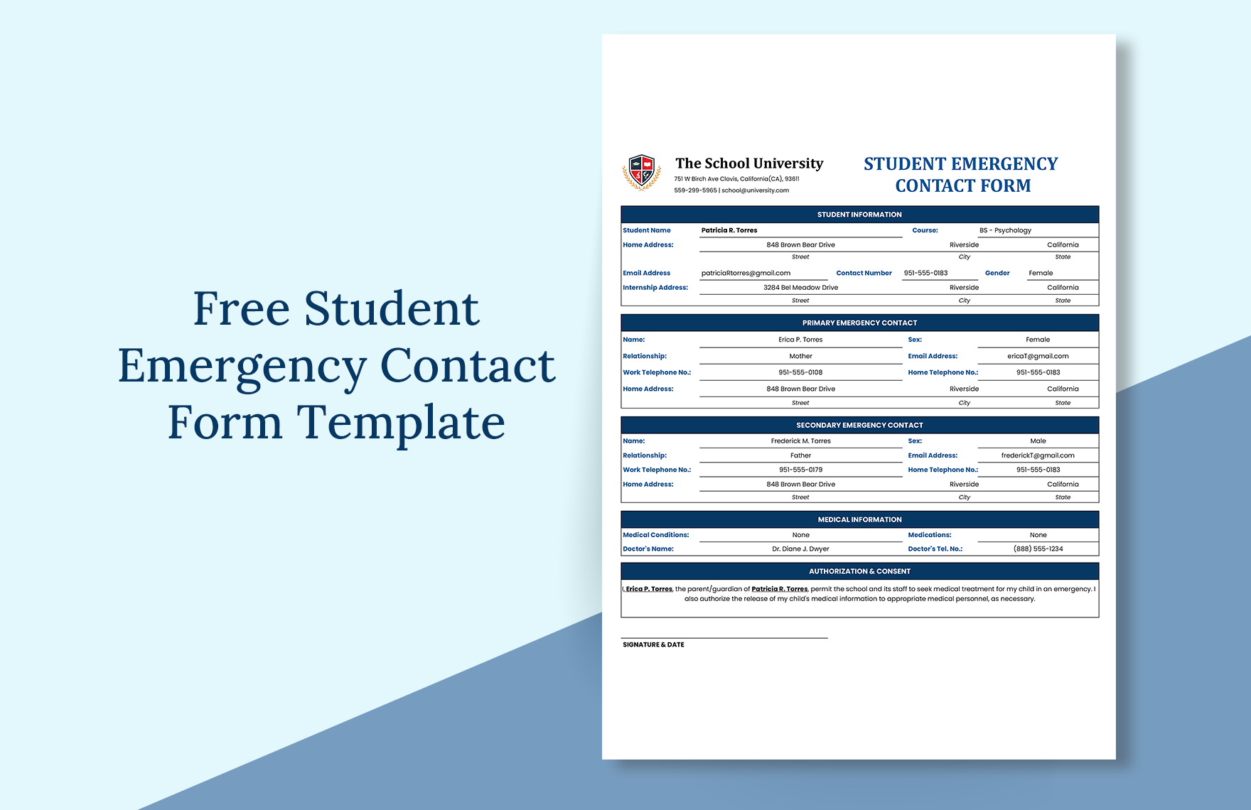 Student Emergency Contact Form Template in Excel, Google Sheets