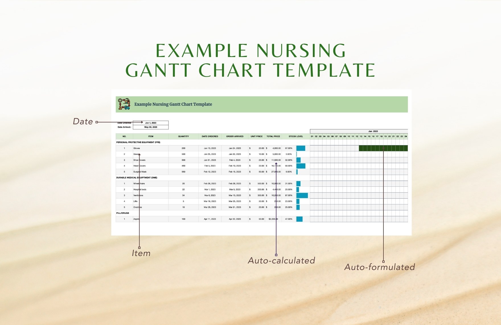 Example Nursing Gantt Chart Template