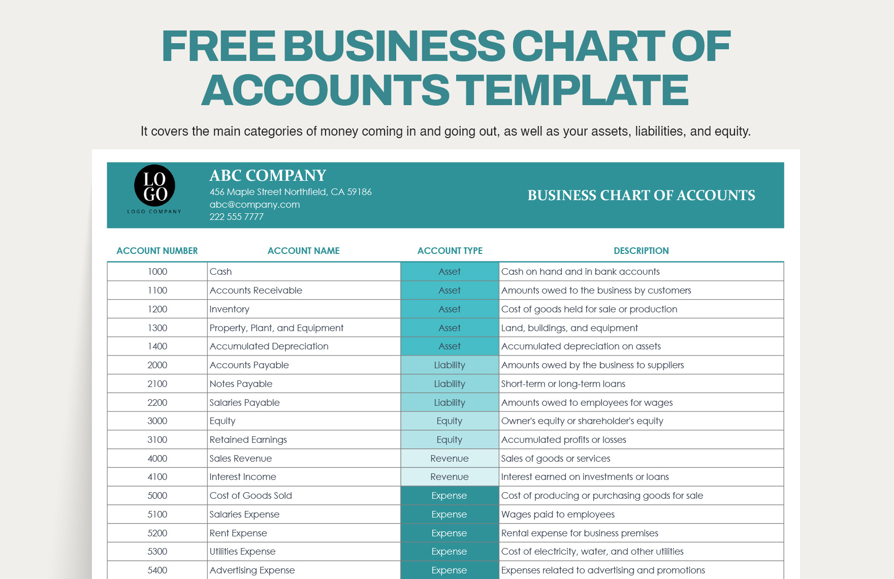 Free Business Chart of Accounts Template in Excel, PDF, Google Sheets