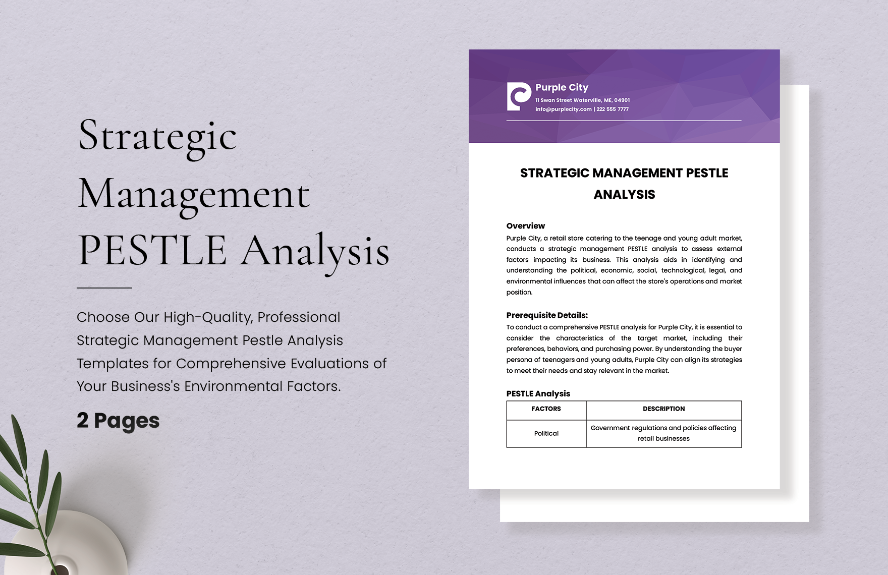 Strategic Management PESTLE Analysis Template